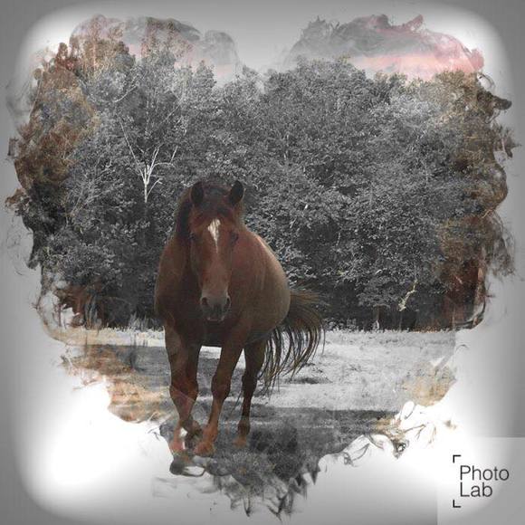 Meet your Posher, Miriam - Picture 1 of 1